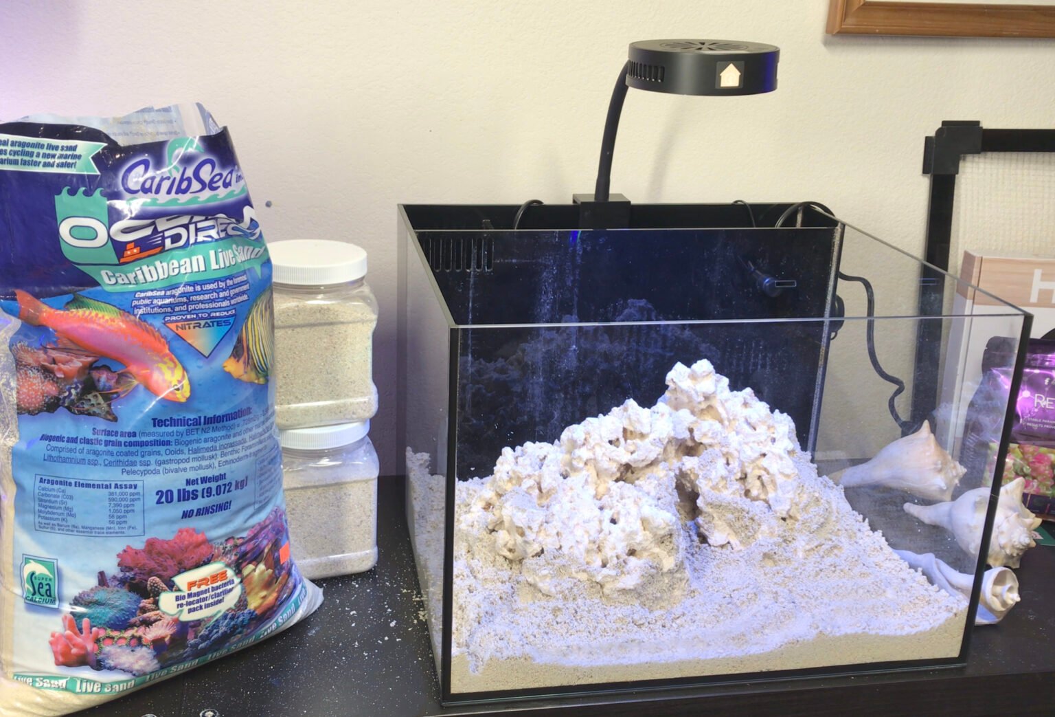 Curated visual reference: Visual Reference: Setting Up A Nano Reef Tank Reef Casa S Studio
